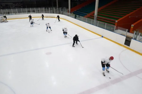 芝加哥黑鹰训练营聚焦康纳贝达德新赛季得分与中部争冠走势分析